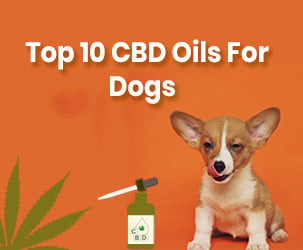 Best CBD Oils for Dogs