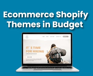 How To Choose Ecommerce Shopify Theme with Minimal Investment