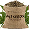 MjseedsCanada Coupons