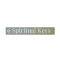 9 Spiritual Keys Coupons