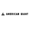 American Giant