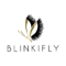 Blinkifly Coupons