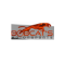 Bobcat's Motorsports