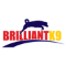 BrilliantK9