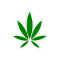 CBD Living LLC
