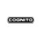 Cognito Motorsports