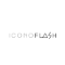 Icono Flash