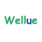 Wellue Health Coupons